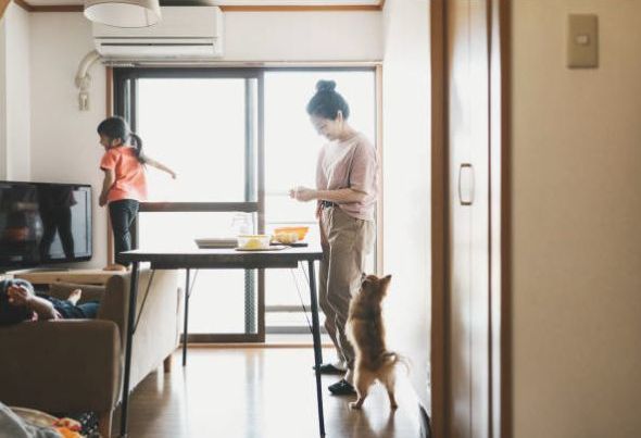 ペットとの快適な暮らしを